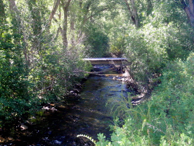 Pinos Creek.